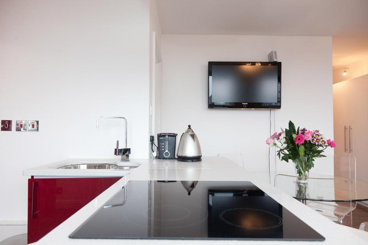 One Bed Flat Piccadilly Circus Appartamento